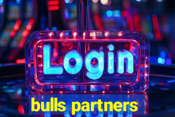 bulls partners